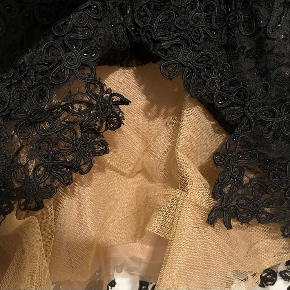 Sue Wong Nocturne Women’s Black Lace Embroidered Beaded Cocktail Dress Size 2 - Picture 4 of 5
